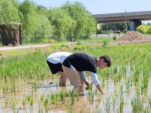 手机蓝冠登录,蓝冠平台登录线路